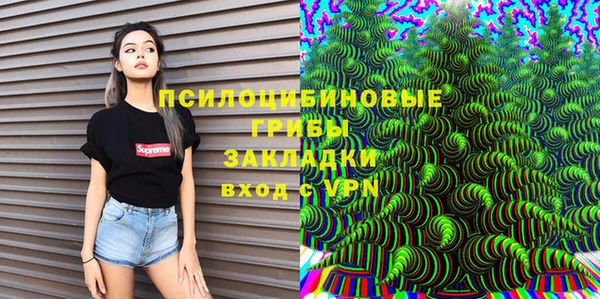 метадон Лагань