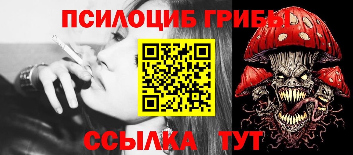 Тосно  Псилоцибиновые грибы Psilocybine cubensis  Галлюциногенные грибы прущие грибы  Вход с VPN 