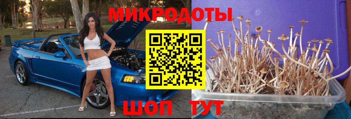Псилоцибиновые грибы ЛСД Тосно