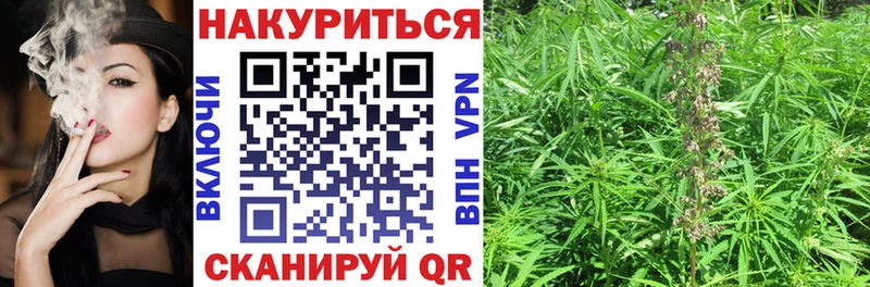 Канабис Amnesia  купить закладку  Тосно 