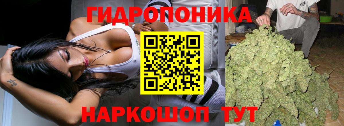 Канабис White Widow Тосно